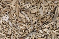 biomass boilers Rapness